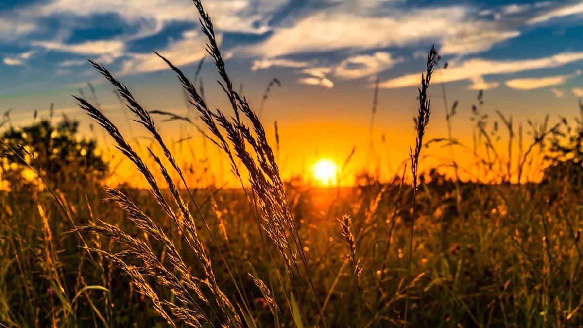 La provincia de Madrid es un lugar fantástico para escapar del bullicio de la ciudad y disfrutar de un merecido descanso en el campo