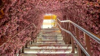 Visita escenarios madrileños de película retratados por distintos artistas y vecinos