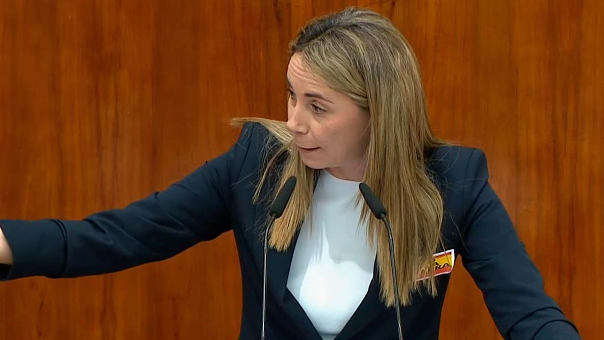 La portavoz del PSOE-M considera que la comunidad educativa le “tuerce el brazo” a la presidenta