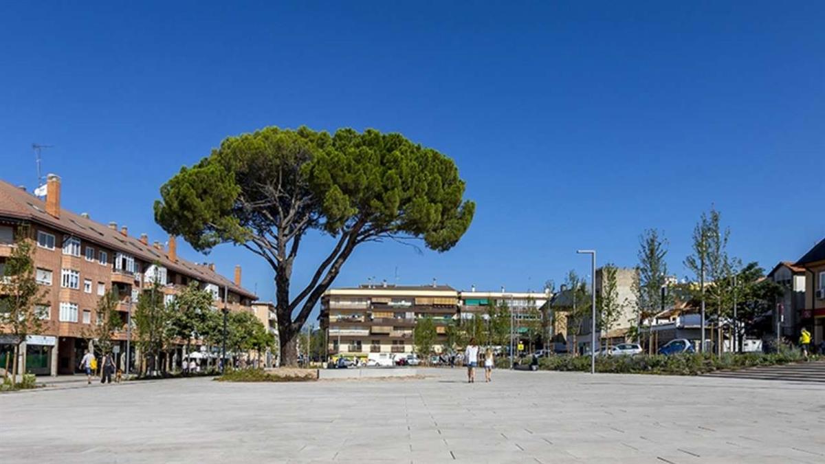 El municipio mantiene una tendencia positiva en actividad empresarial y consumo local