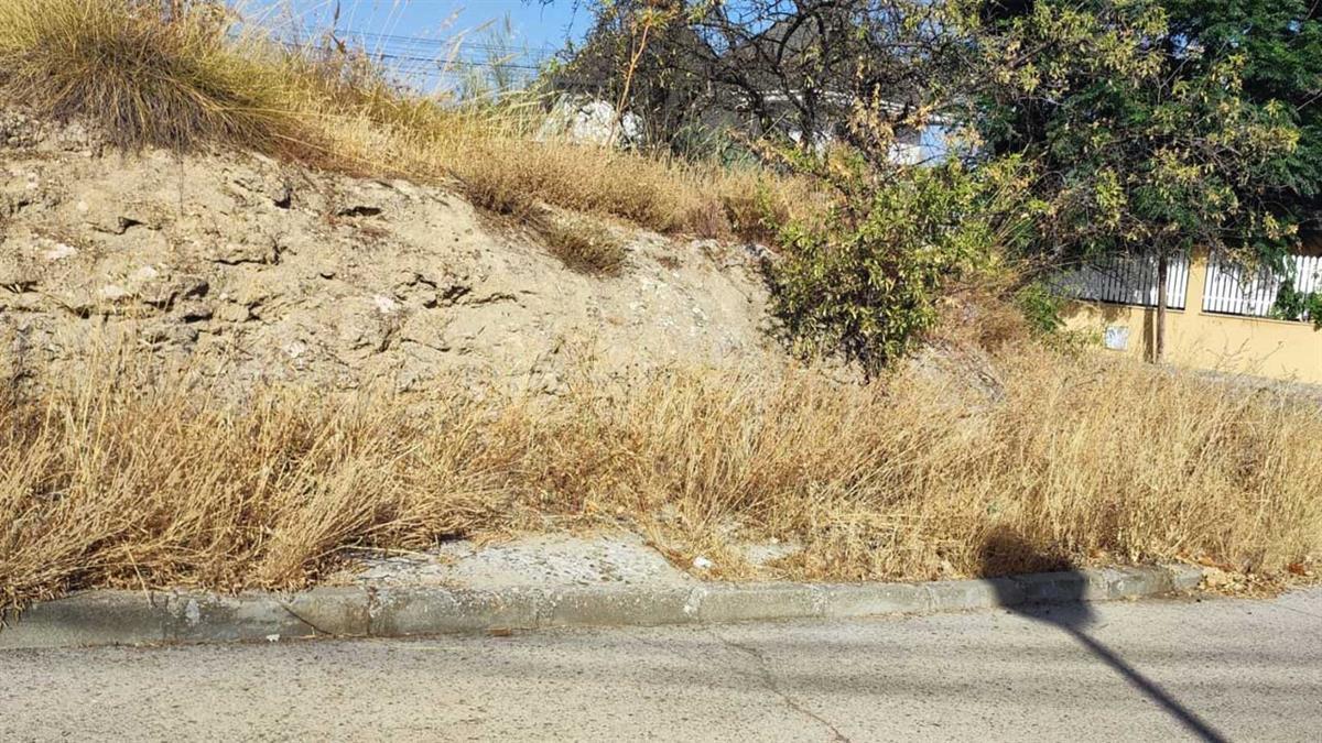 Uno de los problemas que más preocupa al PSOE es la falta de desbroce del barrio