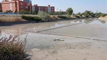 Peces muertos, basura y malos olores en un estanque prácticamente vacío