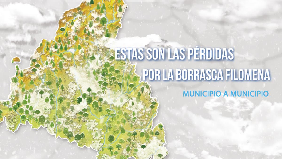 Los municipios de Soyde. hacen balance de los daños del temporal