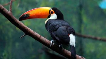 La entrada se queda en 17 euros; 25,90 en el caso de cogerla con la opción de menú