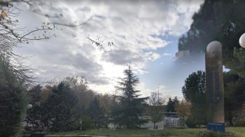 Llevan desde marzo de 2020 realizándose de forma online