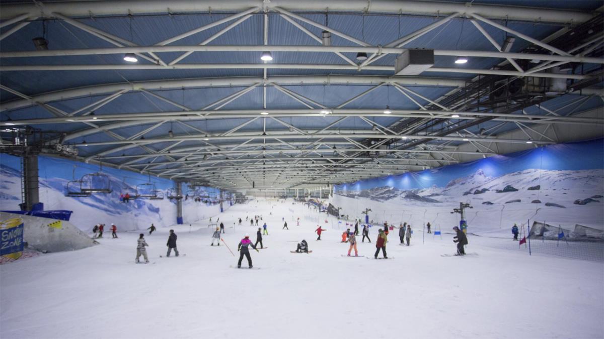 Tiene como objetivo aumentar y mejorar la práctica de la actividad física del alumnado