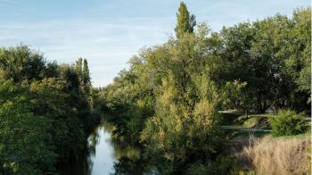 La iniciativa para recuperar el ecosistema fluvial del Manzanares recibirá 2,6 millones de euros de los fondos europeos 