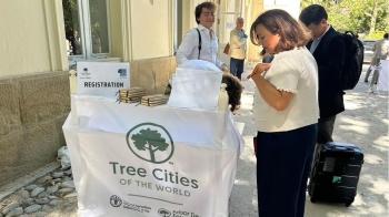 Leganés se suma al EUTreeTag 2026 que etiquetará más de 1.000 ejemplares en 278 ciudades para informar sobre sus beneficios ambientales