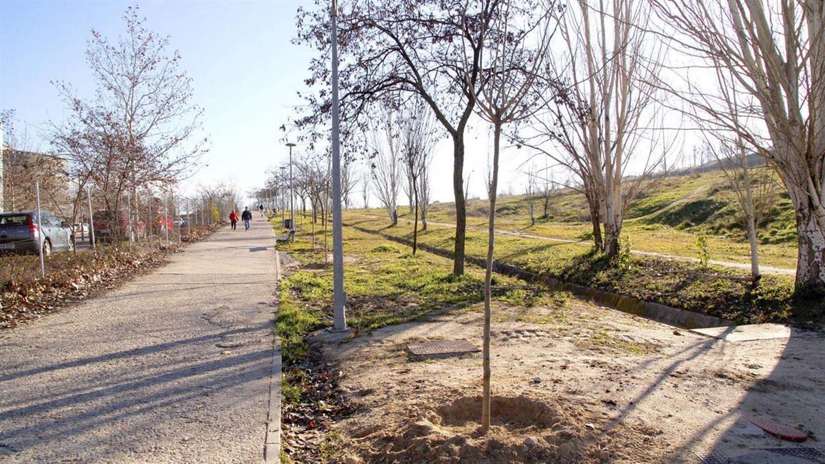 Participando en una plantación de árboles conseguirás, además, un obsequio
