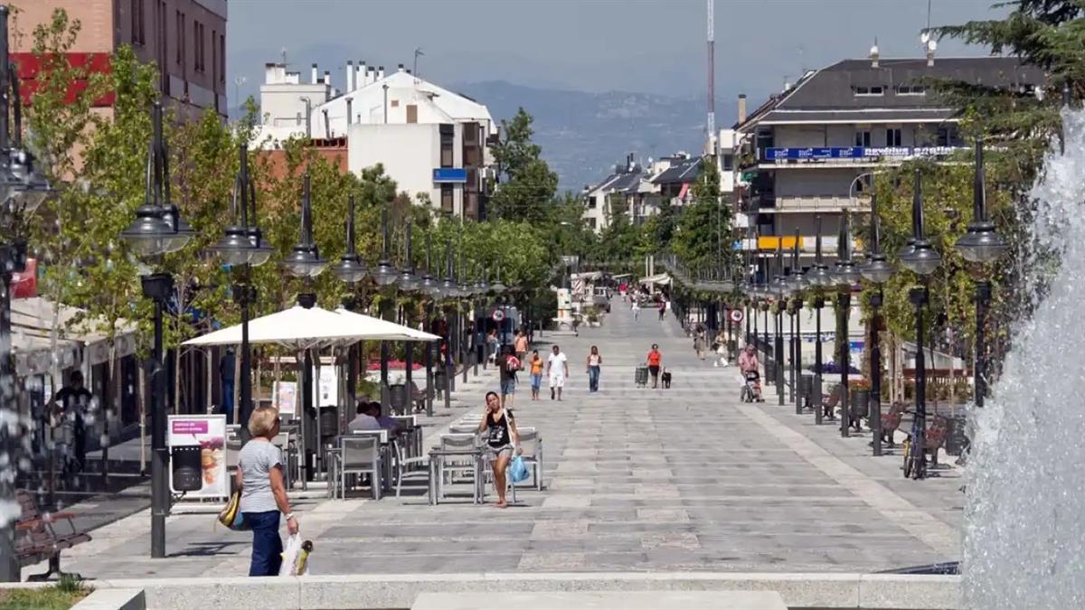 La formación socialista lleva al Pleno denuncias vecinales sobre tala de árboles en la Zona Centro 