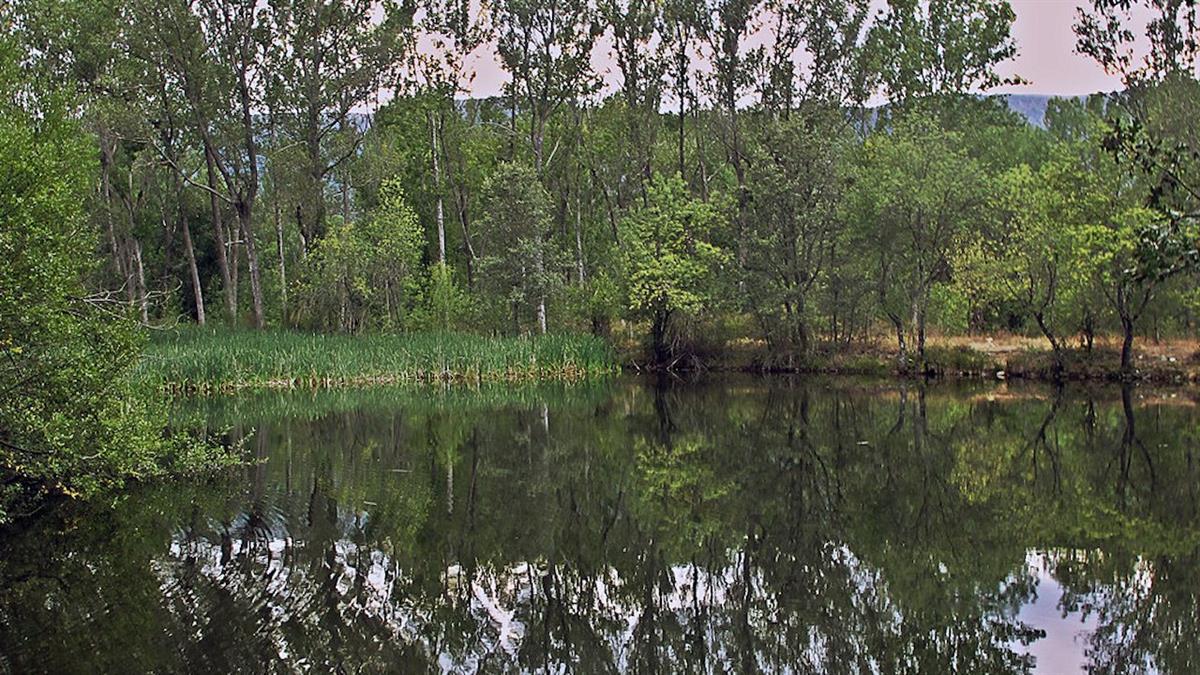 Hay 30 plazas disponibles a un precio de 15 euros.