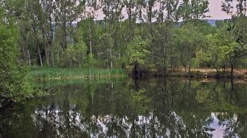 Hay 30 plazas disponibles a un precio de 15 euros.