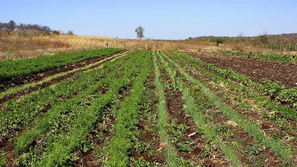 El modelo de su solicitud ya está a disposición de los sujetos pasivos