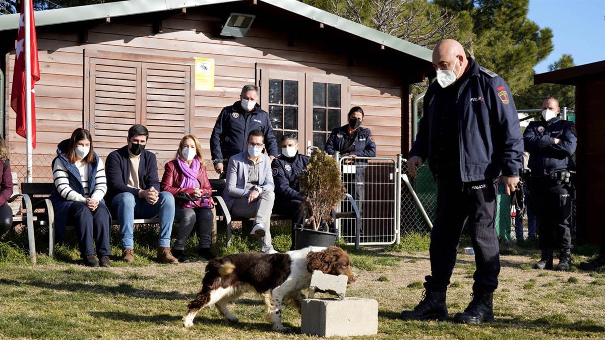 Los miembros de la fundación Amás-Social han disfrutado de un espectáculo que muestra las habilidades de los perros adiestrados