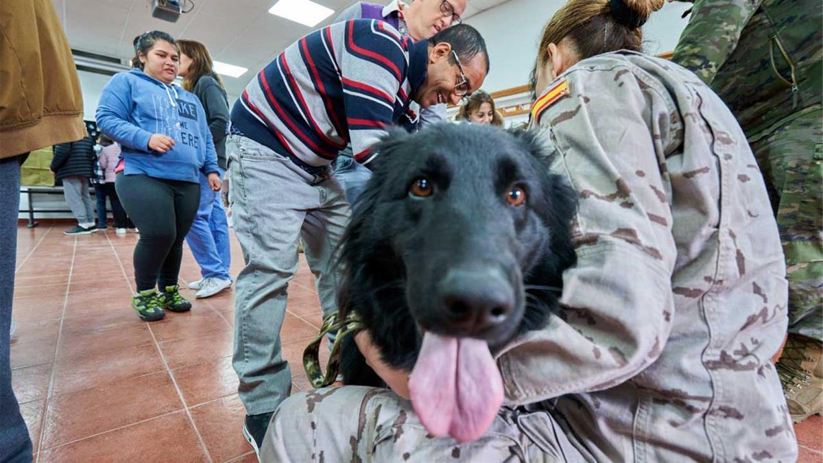 Una exhibición organizada por la Policía Local de Villanueva de la Cañada