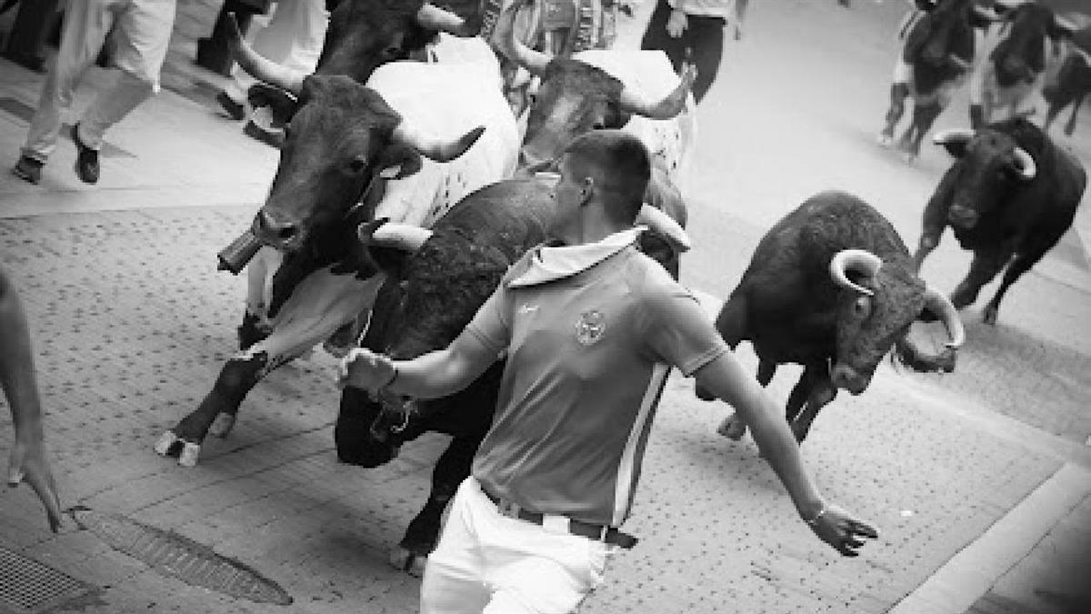 La Asociación Cultural muestra las imágenes de todos los participantes