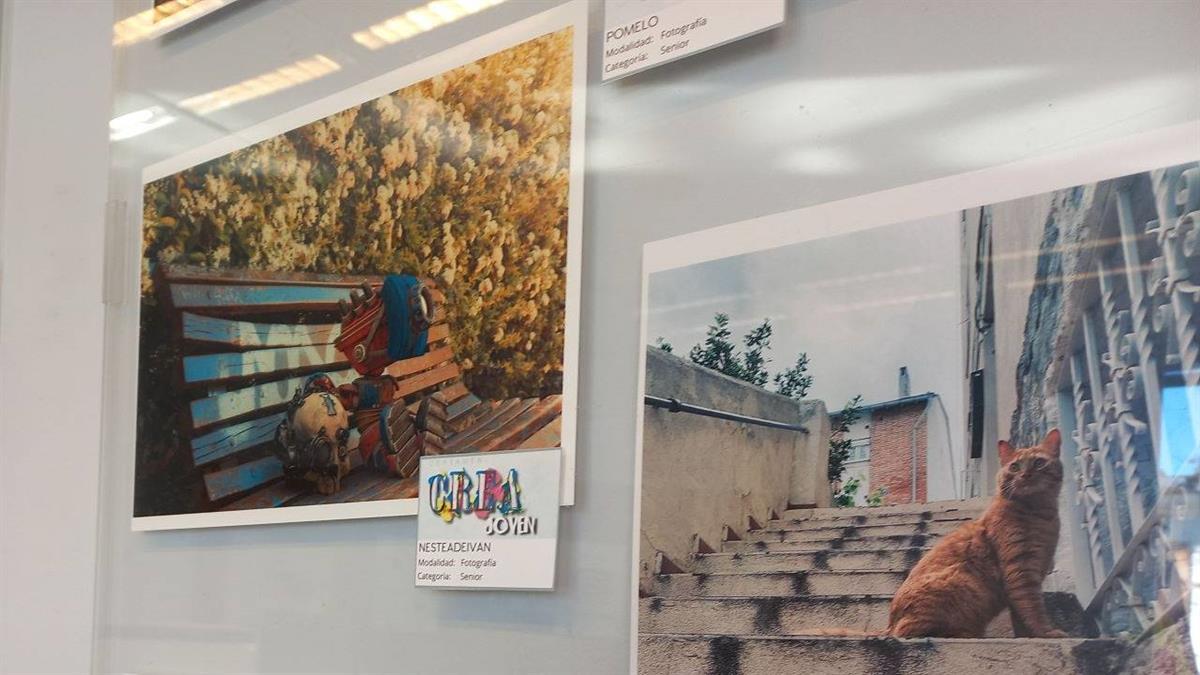 
La muestra recoge 86 obras de fotografía, carteles, memes y stickers
