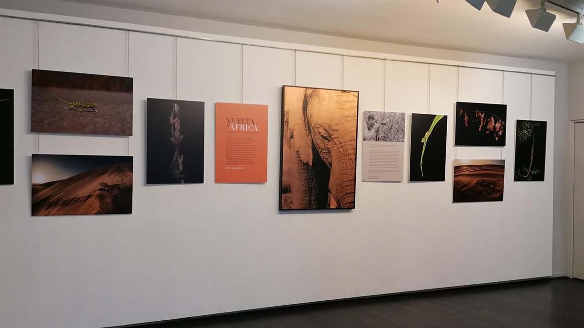 Durante el mes de noviembre habrá un encuentro literario