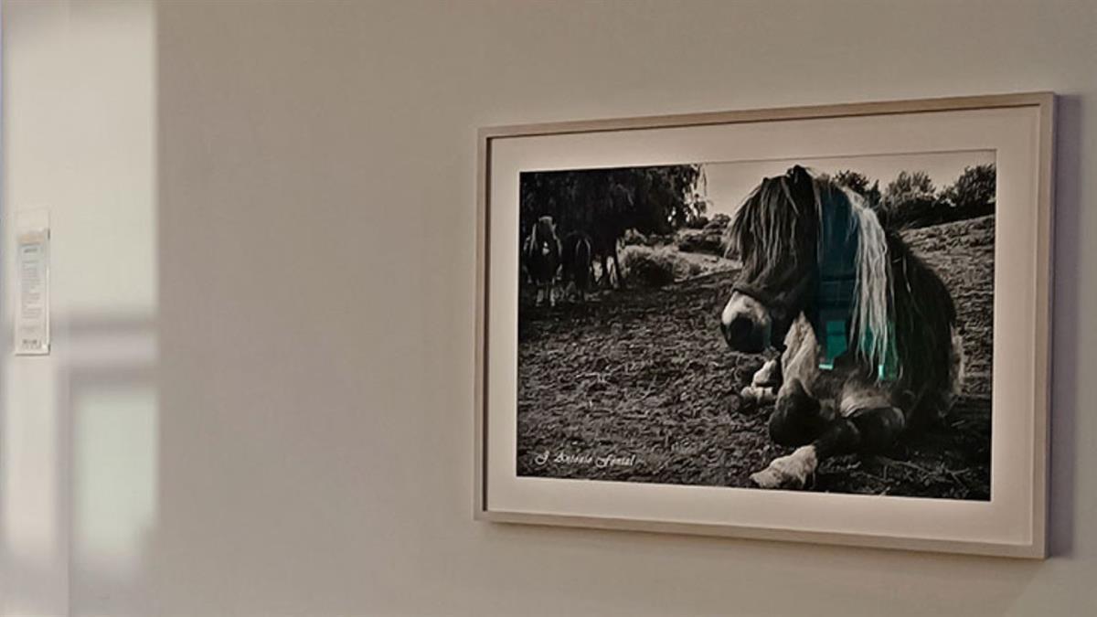 La exposición “Fotografía plástica” llega al Centro Sociocultural Caleidoscopio