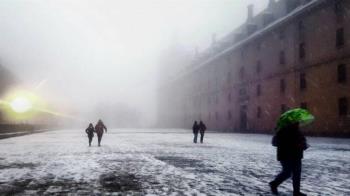 Fo4rmarán parte de la muestra 