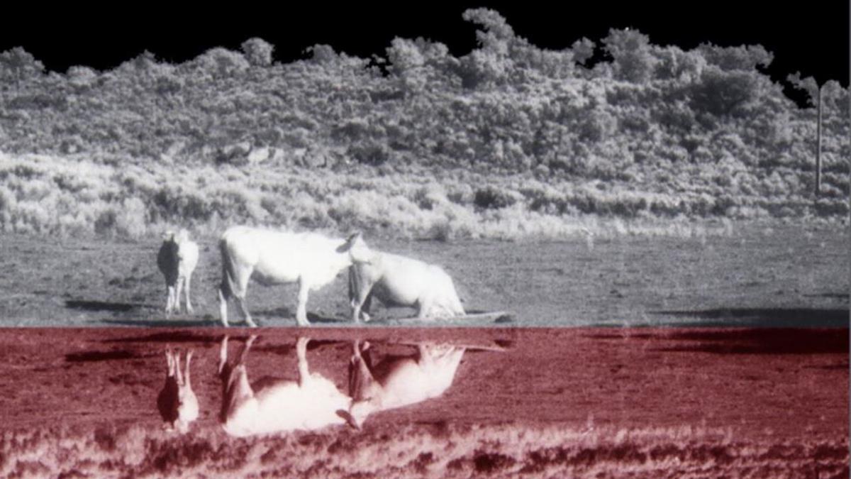 Las 'Huellas' de María José Perales llegan al Museo de la Ciudad