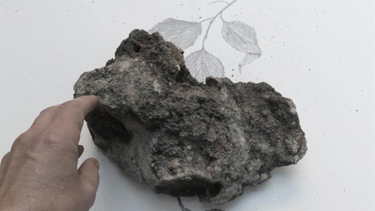 Una exposición realizada por el ex profeso Ricardo Calero