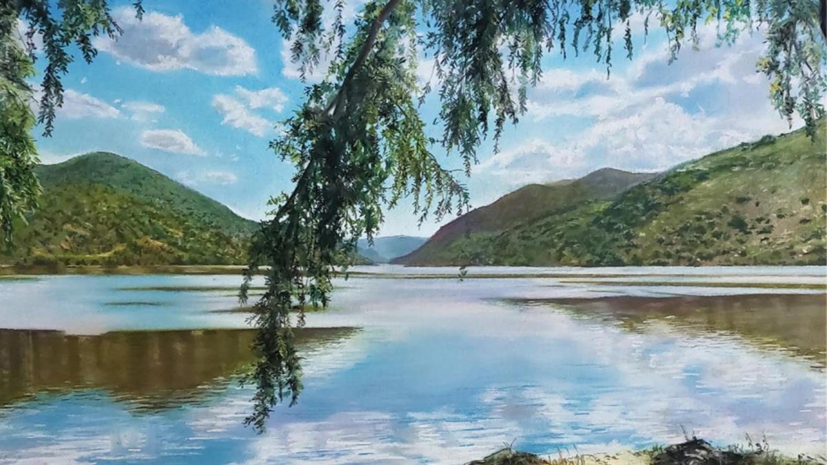 El objetivo del artista es plasmar la esencia de la vida a través de estos elementos