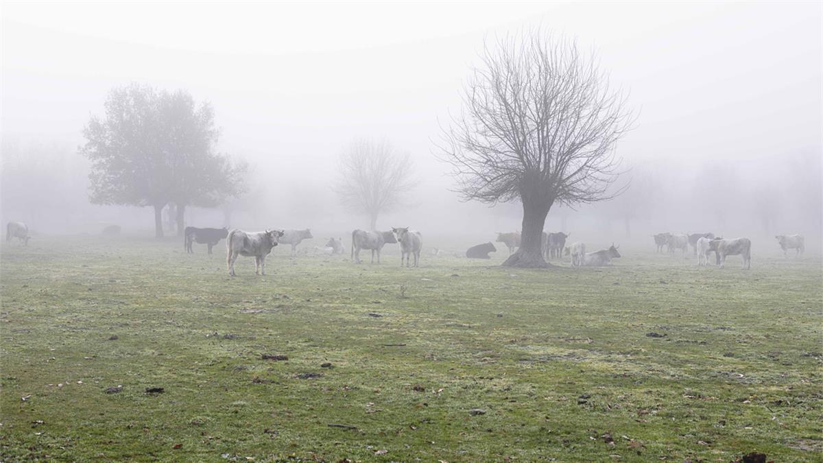 Ya se pueden visitar las exposiciones "Mujeres con aroma de café" y  "Todo lo que cambia"