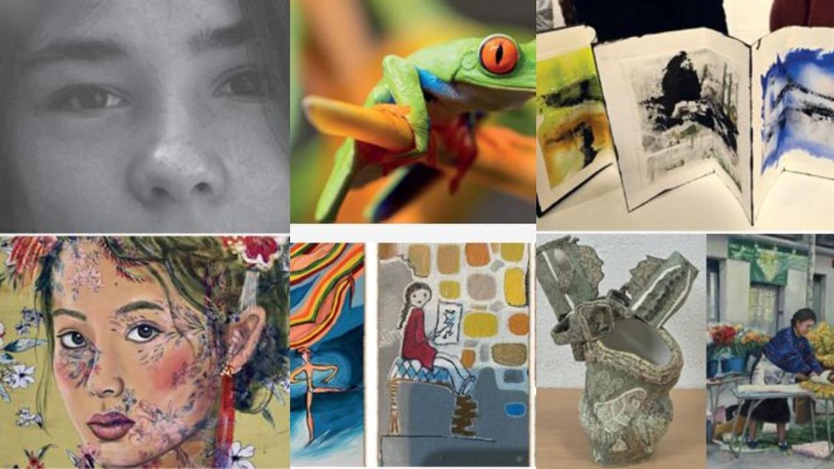 Las muestras abarcan diversas disciplinas y temáticas