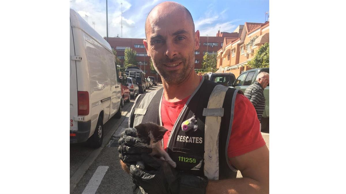 El conductor se dio a la fuga tras arrollarle con su vehículo mientras la víctima iba en bici 