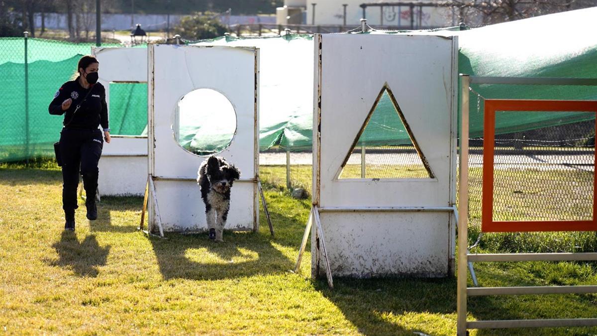 Los agentes cumplían recientemente su 25 aniversario dentro del Cuerpo
