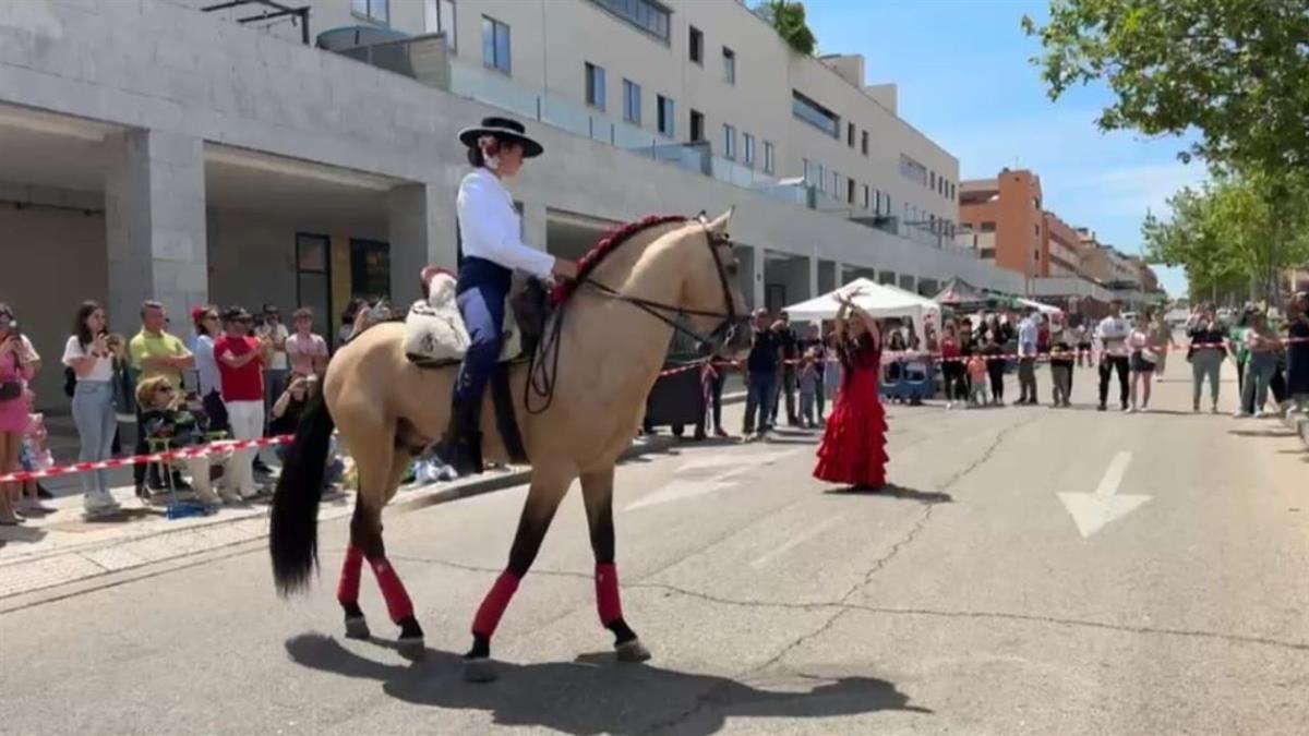 Habrá actuaciones, atracciones de feria, danza ecuestre y romería a caballo, entre otros
