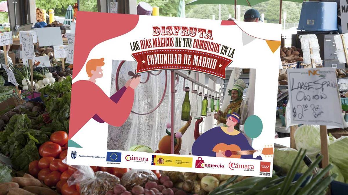La plaza de la Piña acogerá la feria "El mundo mágico del comercio"