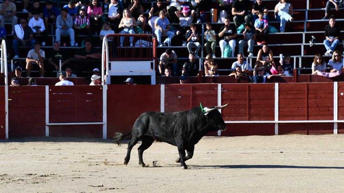 El evento se enmarca en las fiestas en honor a la Virgen de las Angustias