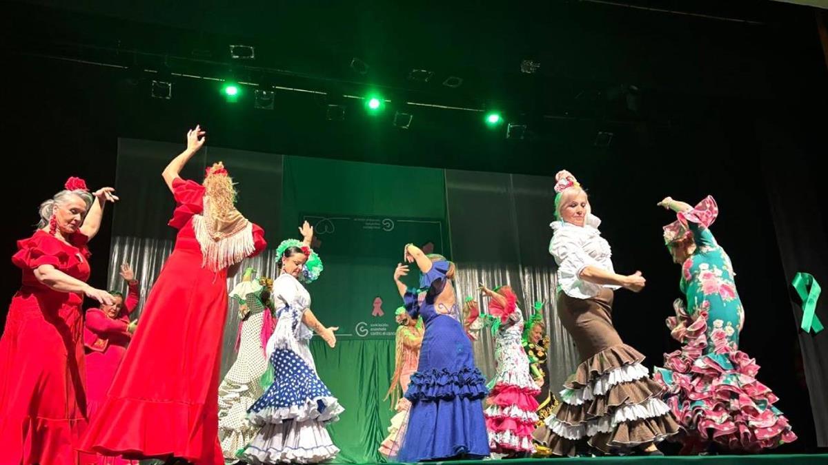 El Festival Benéfico contra el Cáncer contó con la participación de las asociaciones mejoreñas