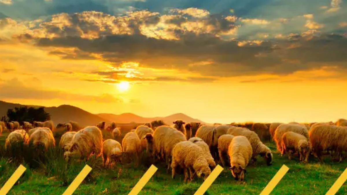 Otero de Herreros acoge el festival Imperdible este fin de semana