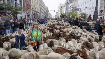 Por primera vez la mayoral que ha llevado el rebaño ha sido una mujer