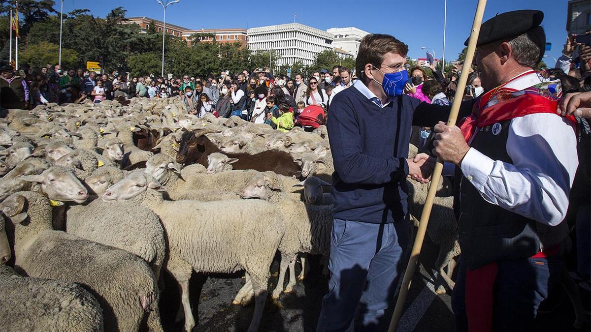 Con el pago de 50 maravedíes al alcalde, los pastores y sus rebaños han conmemorado la ley que protege las vías pecuarias de España.
