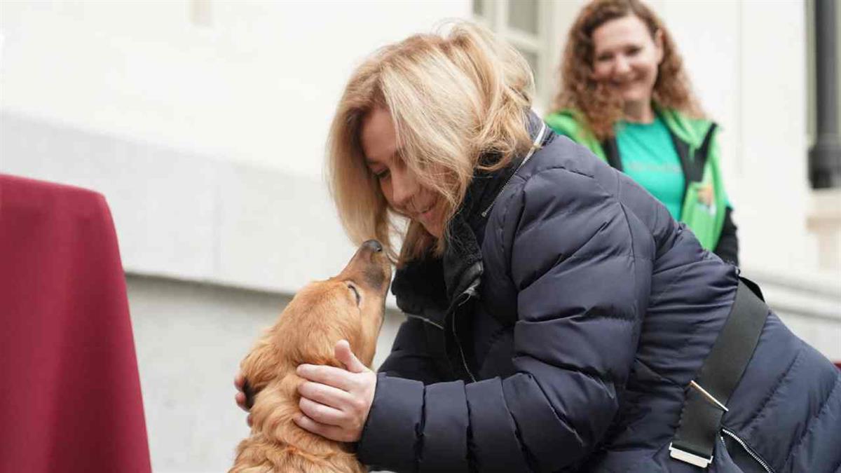 Las actividades en honor al patrón de los animales se han celebrado este fin de semana en la Galería de Cristal del Palacio de Cibeles