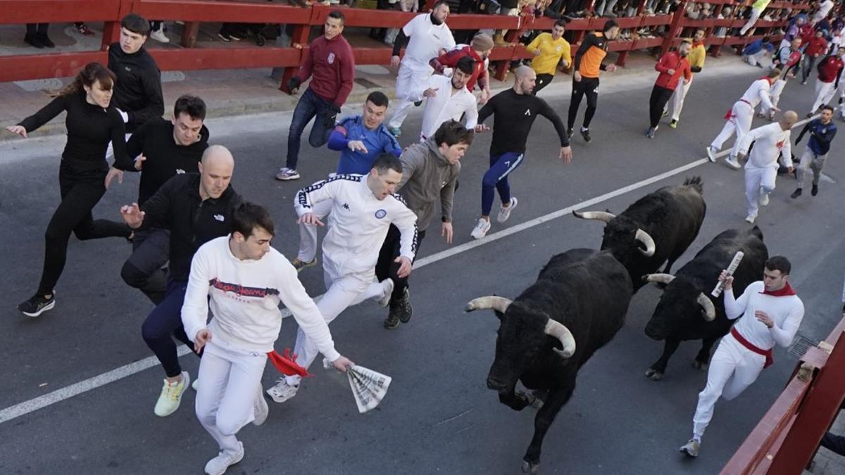 Los festejos taurinos protagonizan la programación de eventos