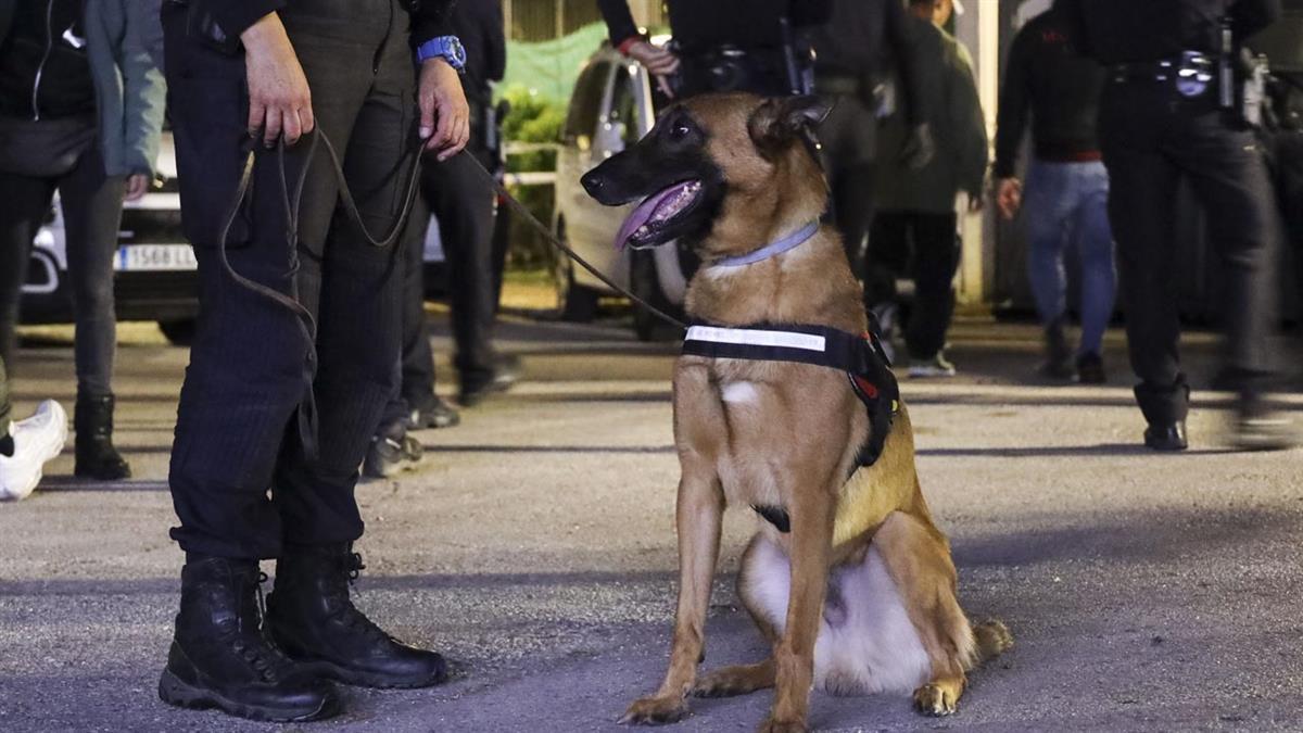 Cerca de 60.000 personas han participado en las celebraciones durante los cuatro días de festejos