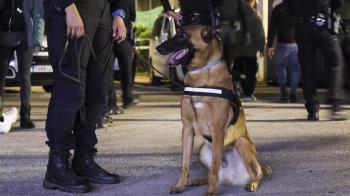 Cerca de 60.000 personas han participado en las celebraciones durante los cuatro días de festejos