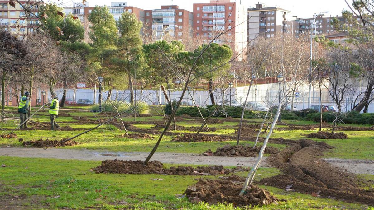 El objetivo es crear entornos más sostenibles y resistentes