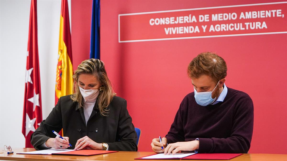 Estas primeras casas serán destinadas al alquiler a un precio asequible 