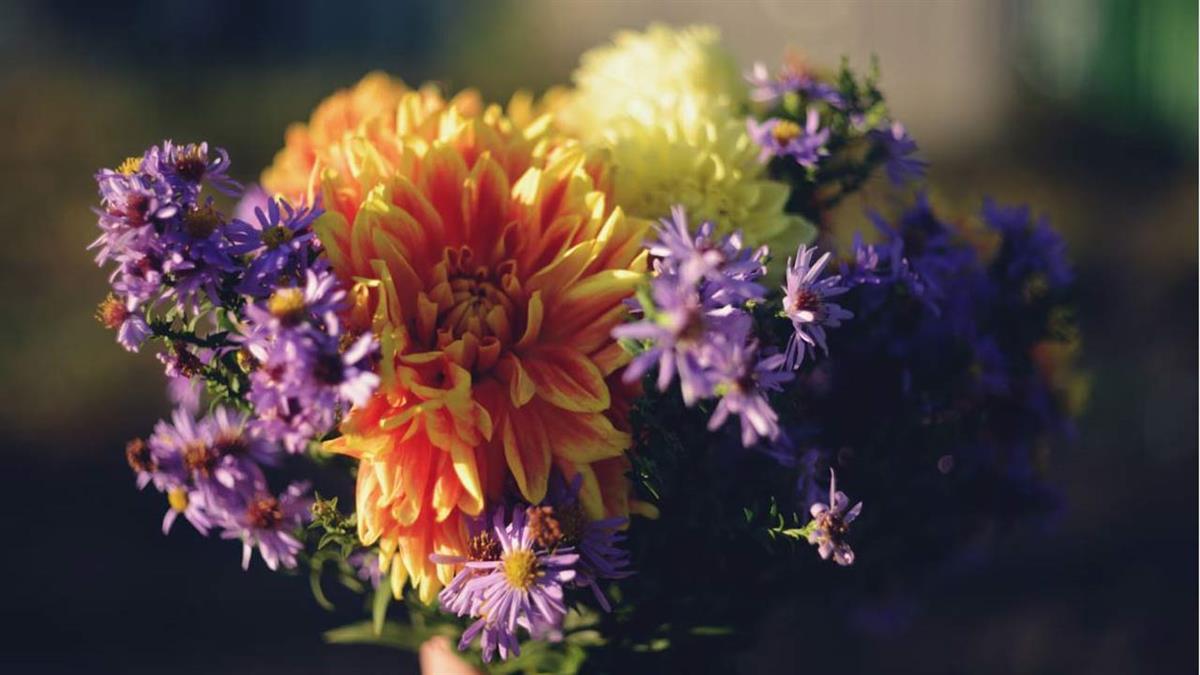 Descubre la magia de enviar flores a domicilio para compartir momentos especiales