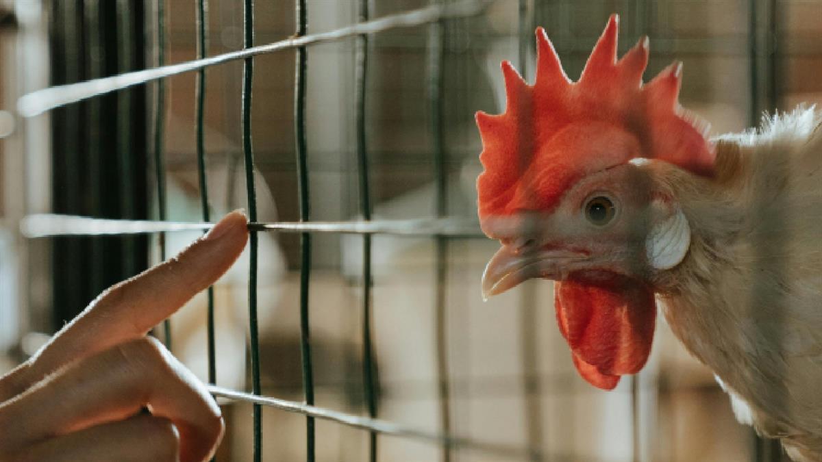 Las medidas estarán vigentes hasta el próximo siete de octubre