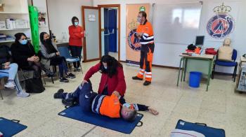 Así como un módulo de prácticas profesionales no laborales de 160 horas 