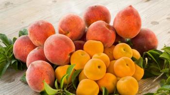 La estación del calor nos regala frutas refrescantes y sabrosas