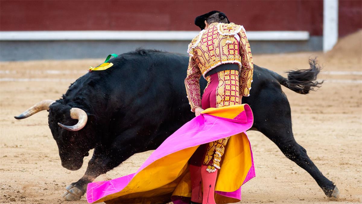 Una empresa no adjudicataria había presentado apelación a los procesos administrativos de los festejos taurinos