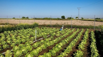 El Ayuntamiento pone en marcha un programa temporal de empleo vinculado a la renaturalización del Parque Agrario y a actuaciones urbanas en el Distrito Centro